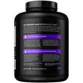 3 - MuscleTech Mass Tech Extreme 2000,  6.6 lb  Triple Chocolate Brownie - India 