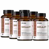 1 - Nirvasa Nirvasa Shilajit (Pack of 6),  60 tablet(s) 