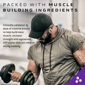 1 - MuscleTech Mass Tech Extreme 2000,  6.6 lb  Triple Chocolate Brownie - India 