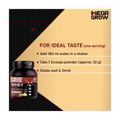 3 - Megagrow Whey Protein Isolate,  2.2 lb  Vanilla 