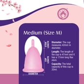 2 - Mom & World Reusable Menstrual Cup,  2 Piece(s)/Pack  Medium 