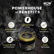 4 - Wow Life Science Pure Himalayan Shilajit,  20 g 