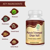 3 - Ayurveda Yogashram Remedies Panch Trinmool Ghan Vati, 120 tablet(s)