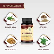 4 - Ayurveda Yogashram Remedies AZ-Nephro,  90 tablet(s) 