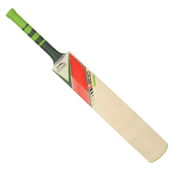 Slazenger V-200 Pro English Willow Cricket Bat
