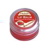 Vaadi Herbals Lip Balm
