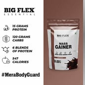 2 - Big Flex Essential Mass Gainer, 2.2 lb Chocolate