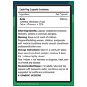 2 - NourishVitals Amla Vitamin C,  60 veggie capsule(s)  Unflavoured (Pack of 2) 
