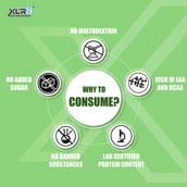 8 - XLR8 Flavoured Whey Protein 24 g Protein, 1 lb Cookies & Cream