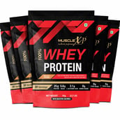 1 - MuscleXP 100% Whey Protein with Digestive Enzyme, 2.2 lb Sea Salt Caramel (Pack of 5)