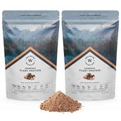 1 - Wellbeing Nutrition Superfood Plant Protein, 1.1 lb Dark Chocolate Hazelnut Pack of 2