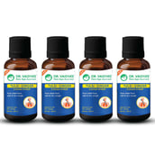 1 - Dr. Vaidya's Tulsi-Ginger Cough Syrup (Pack of 4), 100 ml