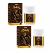 1 - Leeford Shilajit (Pack of 2),  60 tablet(s) 
